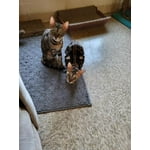 Image 5 of customer photos