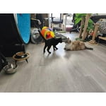 Image 1 of customer photos