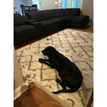 Image 6 of customer photos