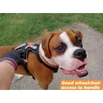 Image 6 of customer photos