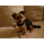 Image 6 of customer photos