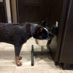 Image 1 of customer photos