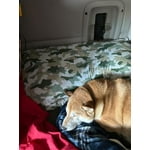 Image 7 of customer photos