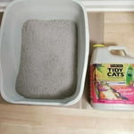 Image 3 of customer photos