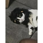 Image 4 of customer photos