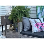 Image 3 of customer photos