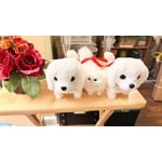 Image 4 of customer photos