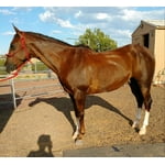 Image 3 of customer photos