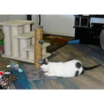 Image 5 of customer photos