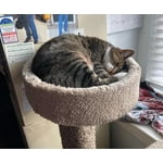 Image 5 of customer photos