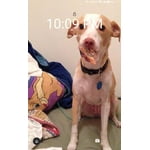 Image 4 of customer photos