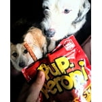 Image 6 of customer photos