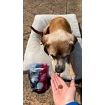 Image 7 of customer photos