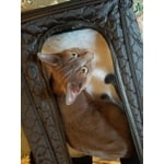 Image 5 of customer photos