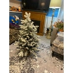 Image 1 of customer photos