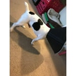 Image 2 of customer photos