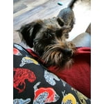 Image 3 of customer photos