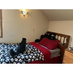 Image 2 of customer photos