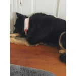 Image 5 of customer photos