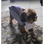 Image 4 of customer photos