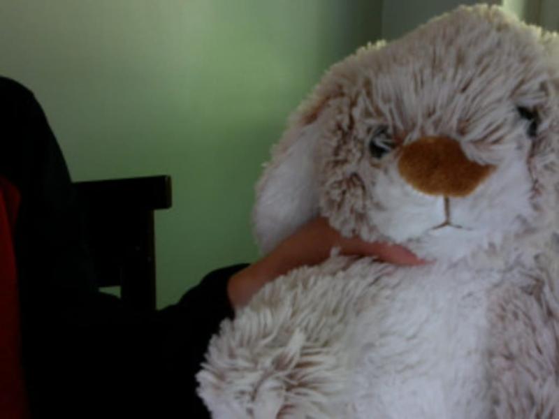 princess soft toys by melissa and doug