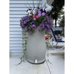 Image 6 of customer photos