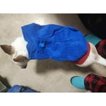 Image 2 of customer photos