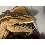 Image 7 of customer photos