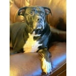 Image 2 of customer photos