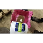 Image 7 of customer photos