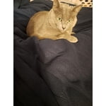 Image 7 of customer photos