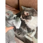 Image 2 of customer photos