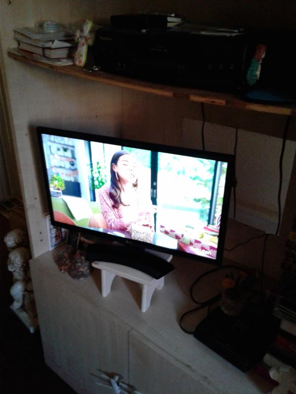 TV LG 24 Pulgadas HD LED 24LF454B Reacondicionada