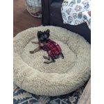 Image 1 of customer photos