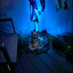 Image 5 of customer photos