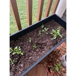 Image 7 of customer photos