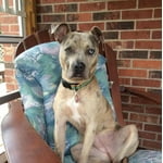 Image 3 of customer photos