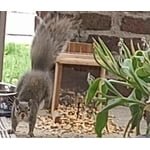 Image 3 of customer photos