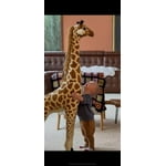 Image 3 of customer photos