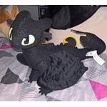 Featured image of post Huge Toothless Stuffed Animal Find great deals on ebay for toothless stuffed animal