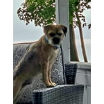 Image 3 of customer photos