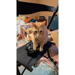 Image 7 of customer photos