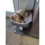 Image 6 of customer photos