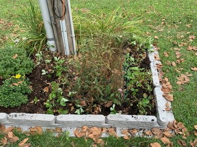 Blocks Grass and Weeds 10 of Interlocking Adjustable Brick Sections Trim Free Landscape Edging Sand