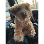 Image 4 of customer photos