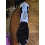 Image 6 of customer photos