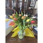 Image 1 of customer photos