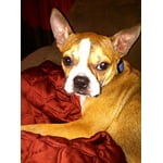 Image 6 of customer photos