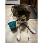 Image 6 of customer photos