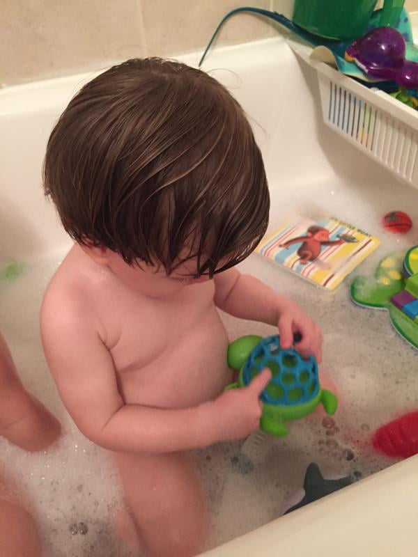 oball wind n swim turtle